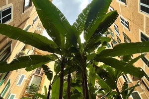 Casa Vacanze Re\u002DHouse