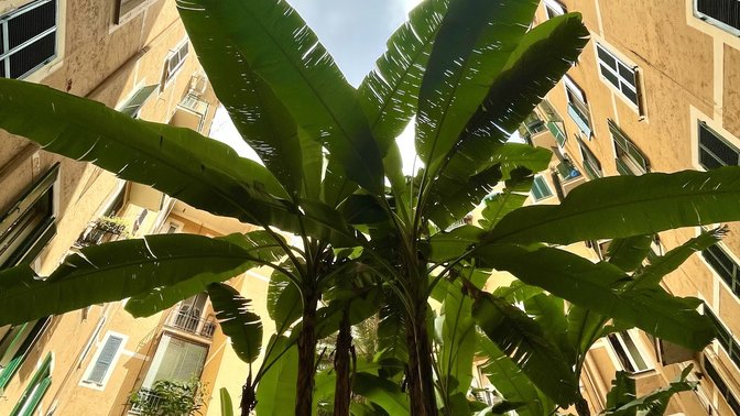 Casa Vacanze Re-House