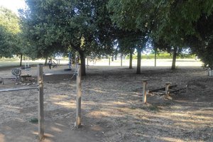 Attrezzi per Allenamento