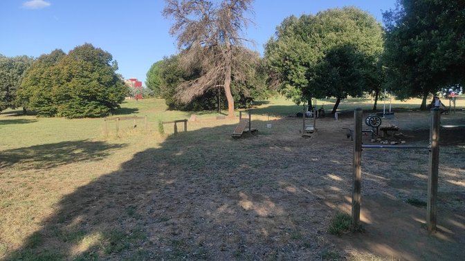 Attrezzi per Allenamento