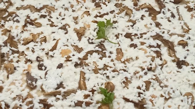 momo pizza DOP_via di acqua bullicante ex_antonio e mirella