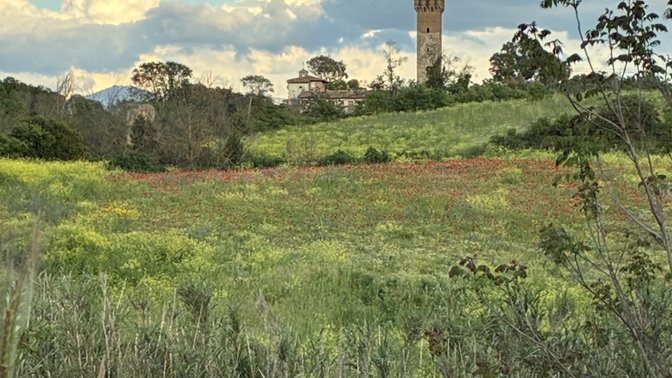 Fosso della Cecchignola