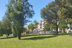Fun club di Ciocca