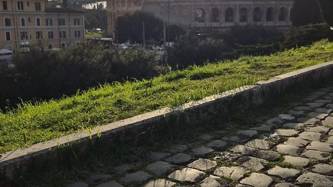 Janis and Bence place