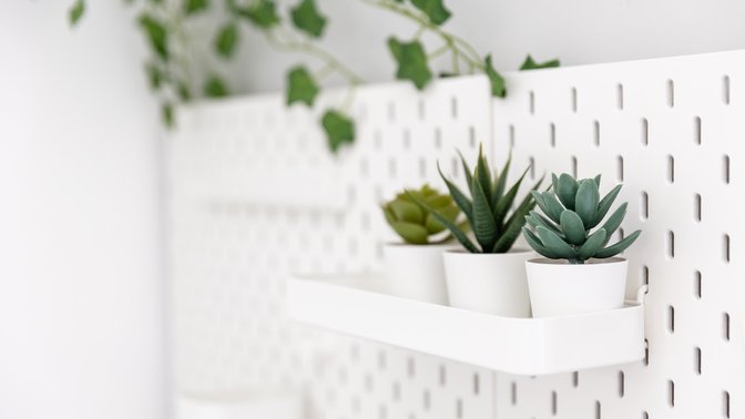 Mistrà 18 Vatican House