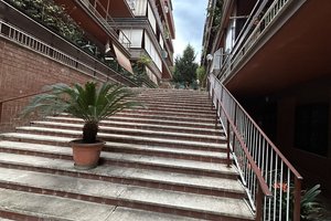 Viva la vida in Rome