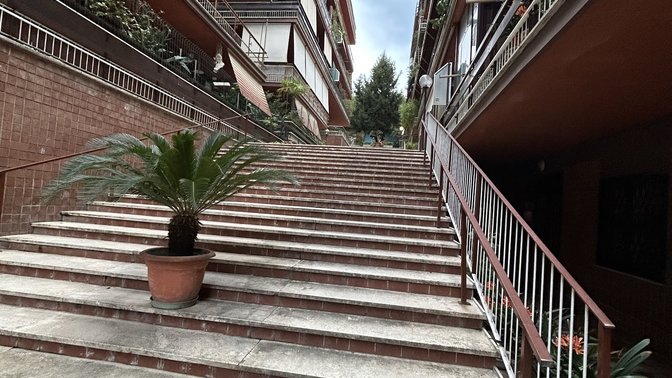 Viva la vida in Rome