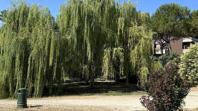 Piazzetta Antonio Durastante