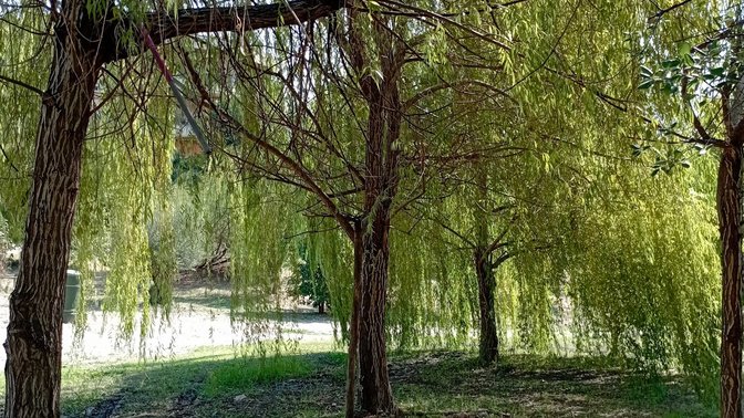 Piazzetta Antonio Durastante