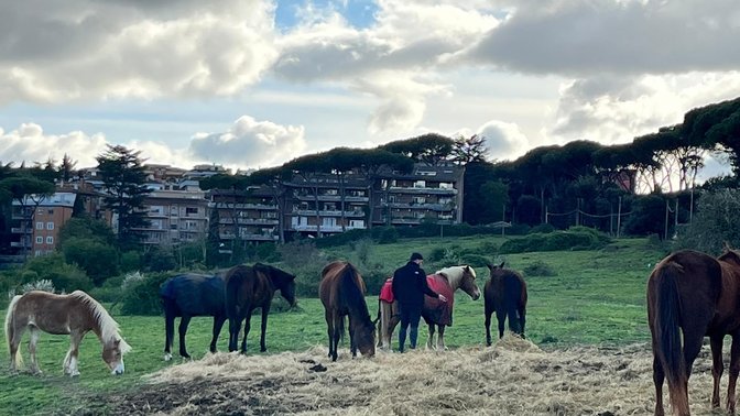 Veio Natura a Cavallo passeggiate a cavallo a roma