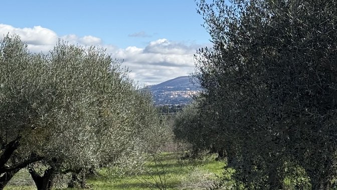 Cobbled Pedestrian Appia Antica