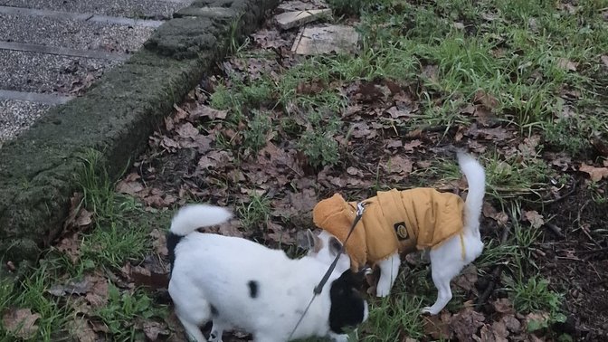 Parco Giuseppe Valarioti