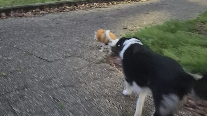 Parco Giuseppe Valarioti