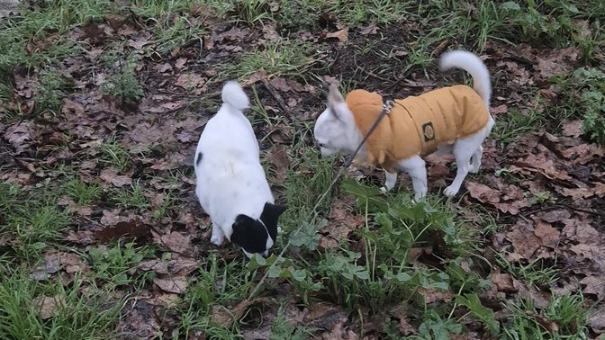 Parco Giuseppe Valarioti