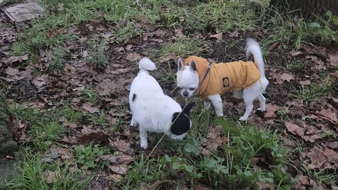 Parco Giuseppe Valarioti