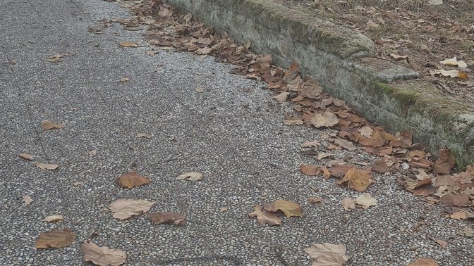 Parco Giuseppe Valarioti