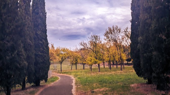 I Cipressi-Parco di Tor Tre Teste