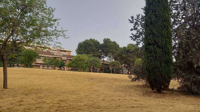 I Cipressi-Parco di Tor Tre Teste