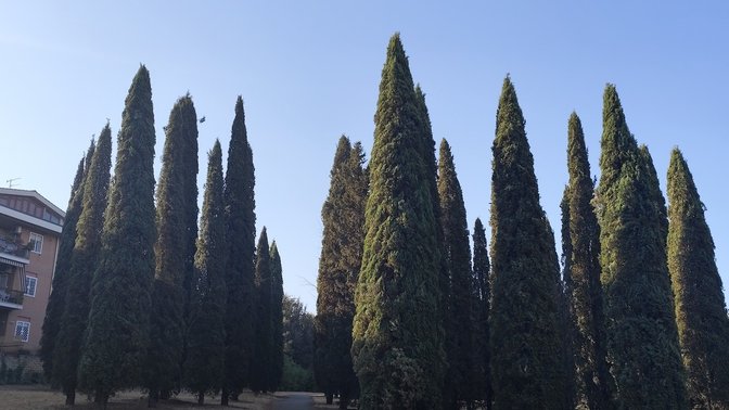 I Cipressi-Parco di Tor Tre Teste