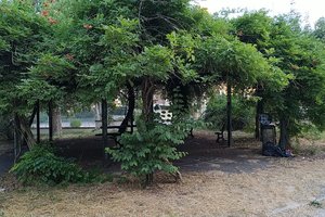 Gazebo del parco