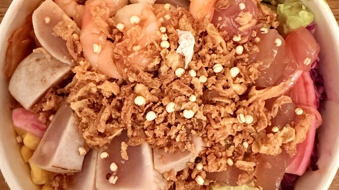 LabHalo fast fusion food