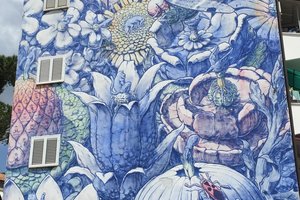 El devenir di Liquen, street art