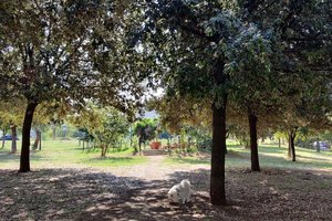 Parco Vittorio Greco