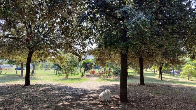 Parco Vittorio Greco