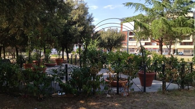 Parco Vittorio Greco