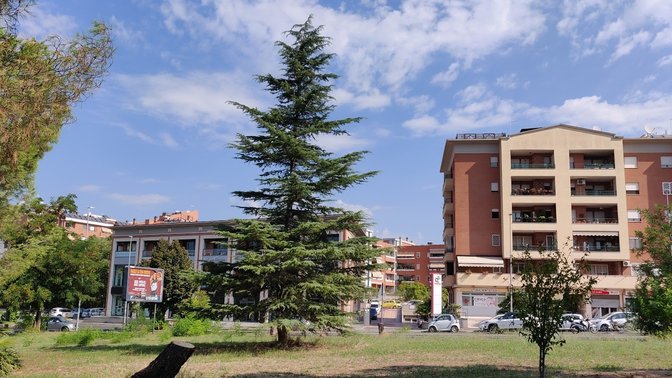 Parco Vittorio Greco