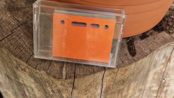 Albero della legalità