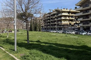 Parco Faonte