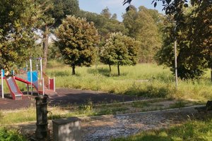Parchetto vecchio di Cinquina