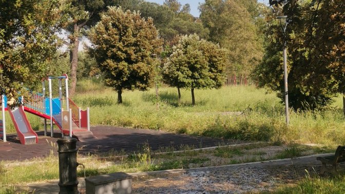 Parchetto vecchio di Cinquina