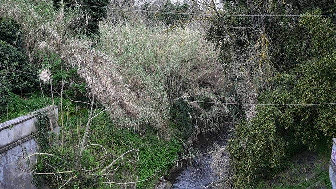 Acquataccio del Dia Principe Torlonia