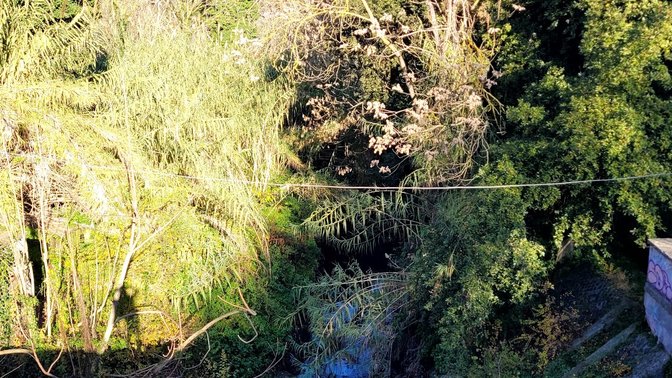 Acquataccio del Dia Principe Torlonia