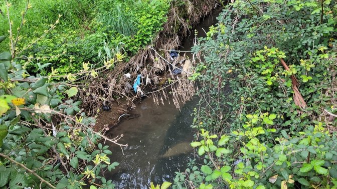 Acquataccio del Dia Principe Torlonia