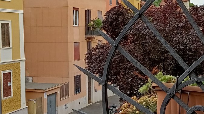 Saint Peter Elegance Domus