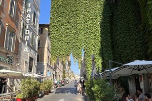 Nest to Colosseum