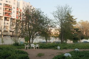 Parco de cani