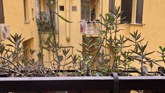 Style & Stone Guest House