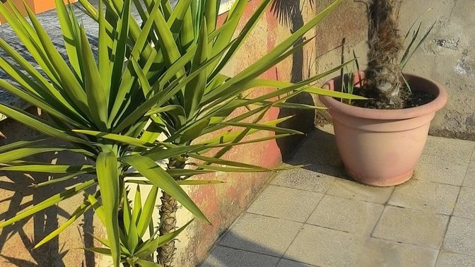 Danilo's Terrace San Lorenzo Roma