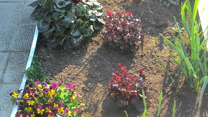 Danilo's Terrace San Lorenzo Roma