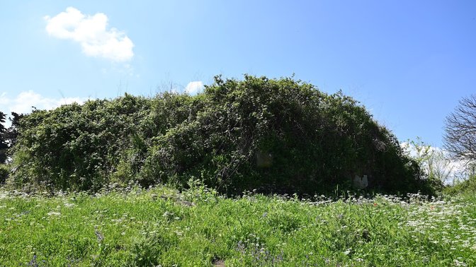 Mausoleo Circolare VIII miglio