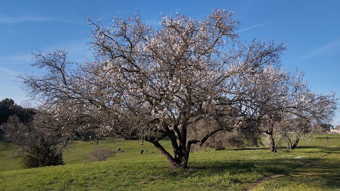 Largo di Anna Politkovskaja