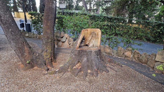 Memorial seat-stump dedicated to Pope Leo XIII