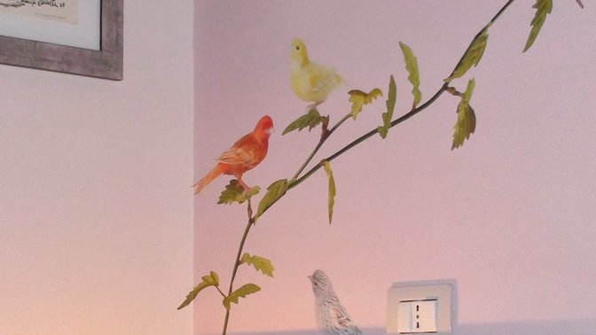 Bed and Breakfast A casa Gaddo