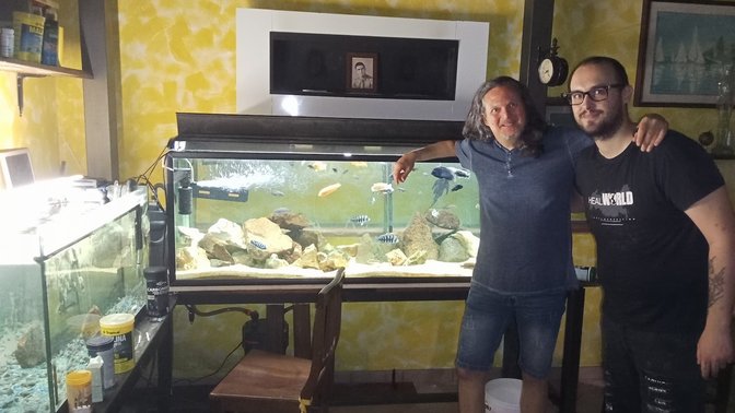 Ciclidi Africani: Allevamento e Vendita dei Pesci Per Acquario di Cichlidream