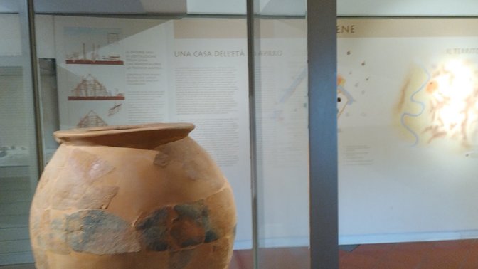 Reconstruction of the First Italian Domestic Cat