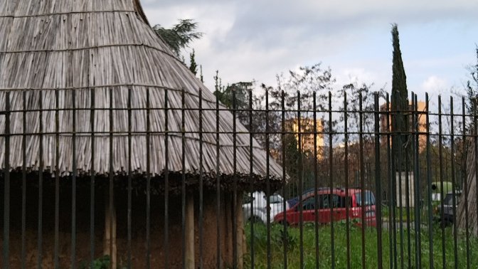 Reconstruction of the First Italian Domestic Cat